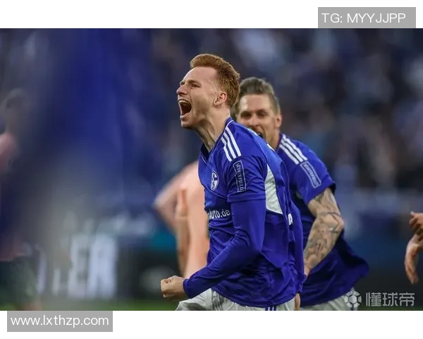 沙尔克04逆袭,胜霍芬海姆,重登胜利之巅 沙尔克04逆袭,胜霍芬海姆,重登胜利之巅